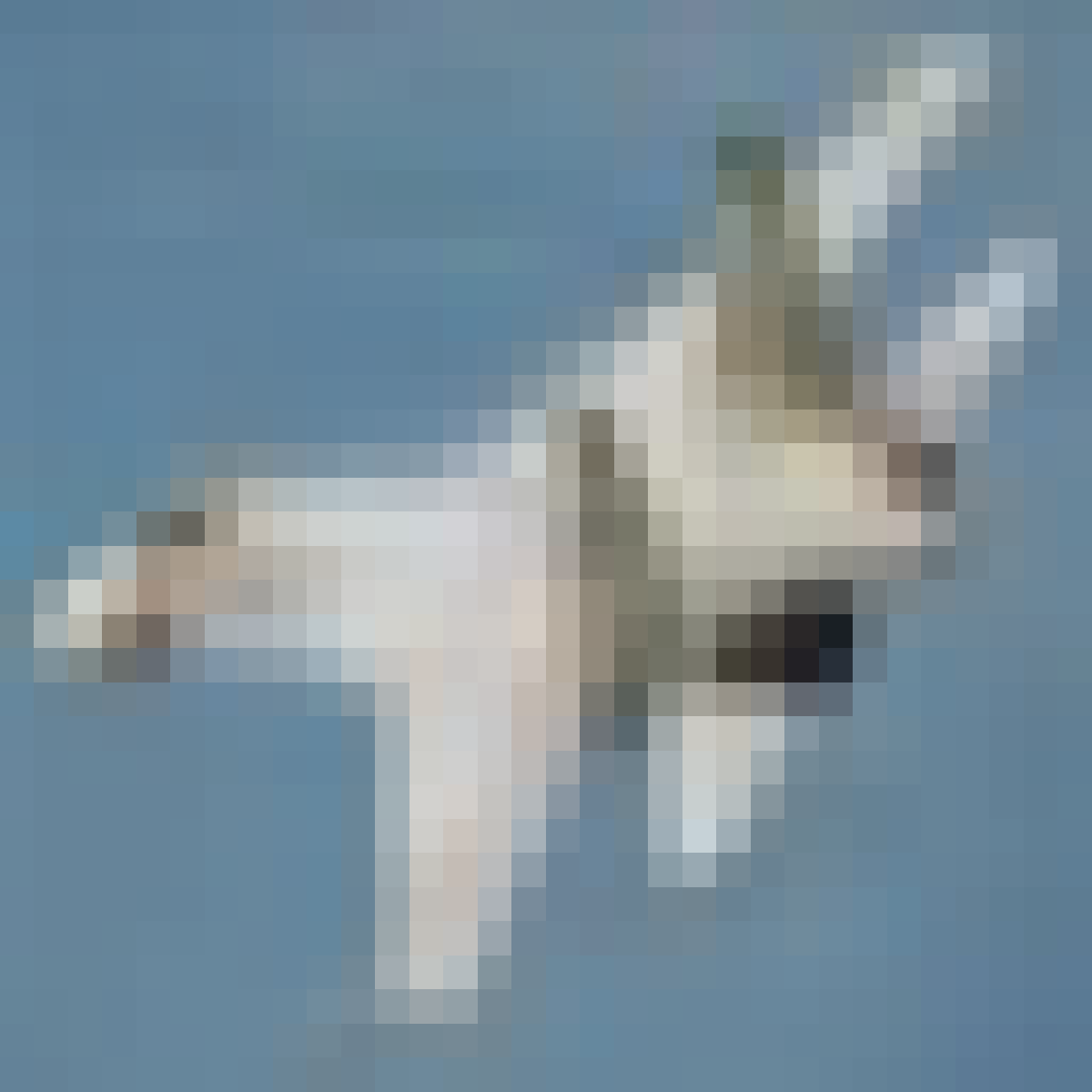Small adversarial attack (classified as a cat)