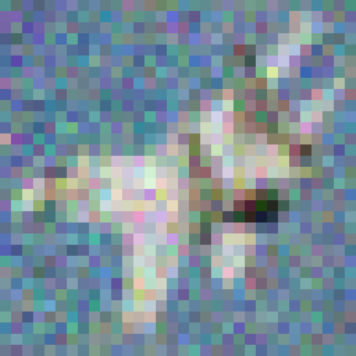 Big random perturbation (correctly classified)
